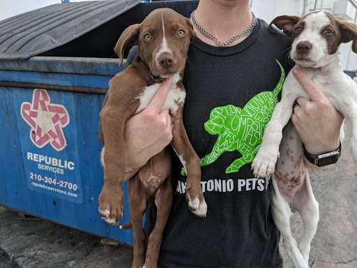Illustration de l'article : Abandonnés dans une poubelle ces deux chiots ont trouvé le salut à la boucherie ! 